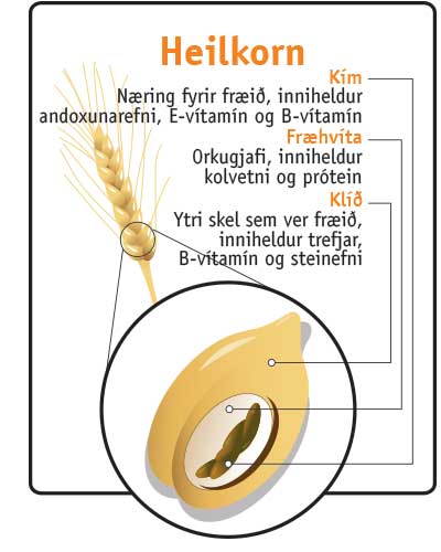 Myllan lífkorn, skýring á korni